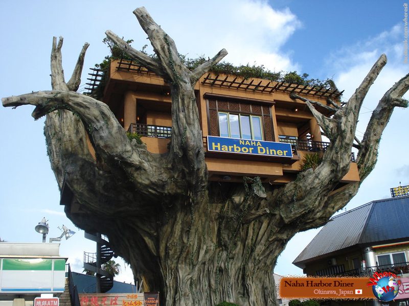 Illustration for article titled These Are The Most Amazing Tree Houses Ever